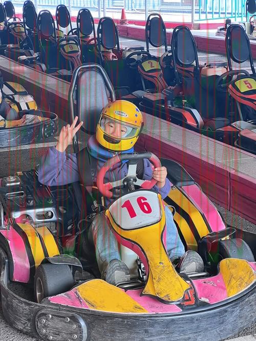 下载极速电竞APP安卓版，畅享极速赛事体验